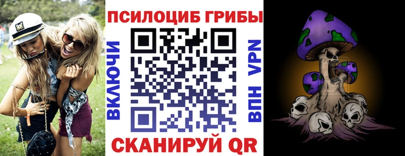 Псилоцибиновые грибы мицелий blacksprut ТОР Ковров что такое наркотик