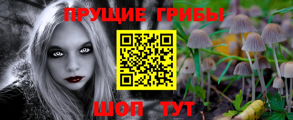 Ковров  Галлюциногенные грибы ЛСД  Вход с VPN 