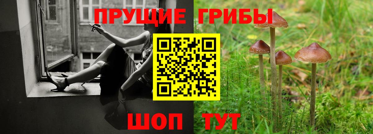 Псилоцибиновые грибы MAGIC MUSHROOMS Ковров